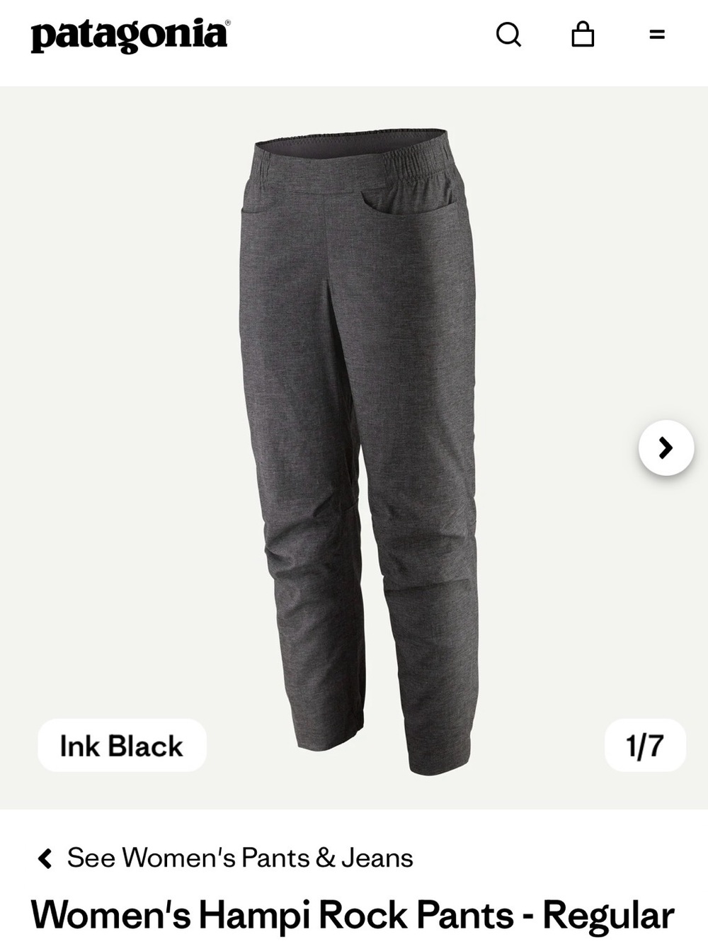 Patagonia Women’s Hampi Rock Pants